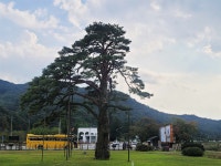 수학여행지 유명한 그곳, 1500년 고찰 다녀왔습니다