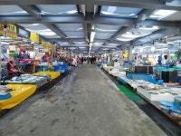 [사진] 동해안 바다는 가을에 봐야 한다