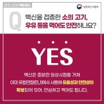 소 럼피스킨병 차단 방역 총력... 경남은 의심 신고 없어