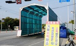 소 럼피스킨병 발생, 충남 예산군도 '초긴장'