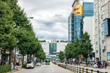 이른 아침 작은 새들... 아이유의 가을아침이 생각나는 동네