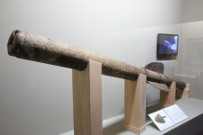 임진왜란 승리로 이끈 화포, 가리포사람이 만들어 바칩니다