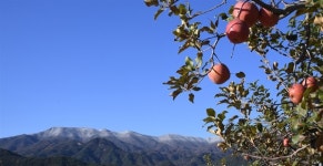 [거창] 덕유산 능선의 하얀 세상, 가을과 겨울 함께