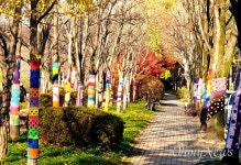 나무에 옷을 입혀주니 지역사회에 훈훈한 온기