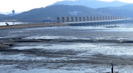 충남 서천 금강하구, 운하 아닌 해수유통이 우선