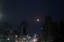 [사진] 도시 위 보름달, 잠시 올려다 볼 여유