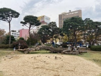 전주시청 1층에 가보셨나요? 저는 정말 놀랐습니다
