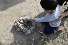 낙동강 독수리식당, 올해도 문 열었지만... 도움이 필요합니다
