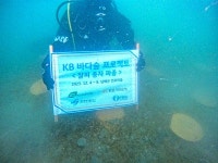 국민은행-환경단체, 잘피 파종해 바다숲 조성 앞장