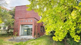 아름드리 은행나무 군락, 천경도서관 지키는 수호신