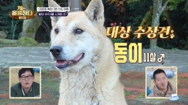 강형욱도 몰랐던 진도의 진돗개 이야기