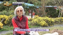 강형욱도 몰랐던 진도의 진돗개 이야기