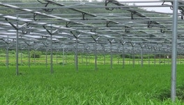 영농형 태양광, 시작은 여기에서부터