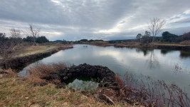 수상한 못에 무엇이 살고 있을까 [수산봉수 제주살이]