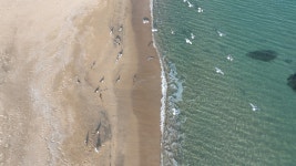 [사진] 지휘자는 파도, 연기자는 모래