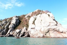 이쁘죠? 이뻐서 이름도 미라리예요