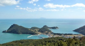 이쁘죠? 이뻐서 이름도 미라리예요