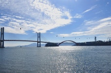 내가 산책할 때 일부러 휴대폰을 집에 두고 가는 이유