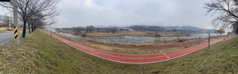 대전 갑천서 멸종위기 맹금류 2종 첫 확인, 시는 하천 정책 바꿔야