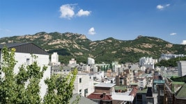 불광동 지역주택조합 대행사 대표 검찰 송치