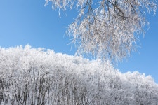 체감온도 영하 20~30도, 그래도 다시 가고 싶은 곳