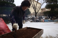 시골 방앗간인데 전국에서 주문... 못 만드는 떡이 없거든요