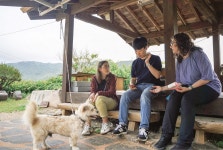 문제행동 반려견, 한국에 유독 많은 이유