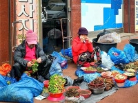 값싸고 싱싱한 채소 가득... 해 뜨면 사라지는 반짝시장