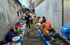 값싸고 싱싱한 채소 가득... 해 뜨면 사라지는 반짝시장