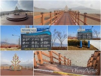 인천시, 강화 석모도 칠면초 해안길 개방한다