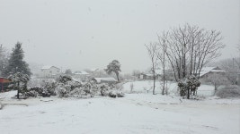 [사진] 새하얀 눈밭... 강원도 대설주의보 발령