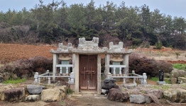 신안군수가 네덜란드에서 5억 원어치 사다 심은 것