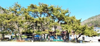 석전 완도 돌싸움의 전설 석장리와 석화포구