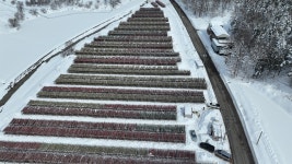 추워야 제맛, 황태가 익어가는 마을