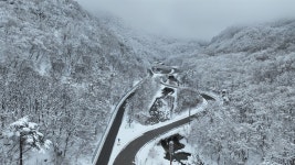 [사진] 멋지게 구부러진 눈길마다 깃든 자연