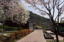 봉하마을에서 봄의 정취를 느껴보세요