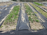 은퇴하면 뭐 하고 살지? 고민하는 당신에게