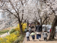 얘들아, 만세~ 팔짝 뛰는 꼬마들 덕에 피어난 웃음꽃
