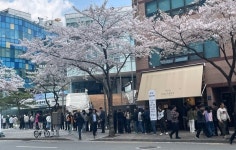 강남구 사전투표율 9.19%... 서울시 자치구 중 최저