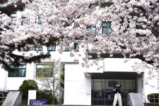 [사진]대전의 봄, 반석천, 유성천, 갑천으로 이어지는 천변 산책로에 봄기운 가득