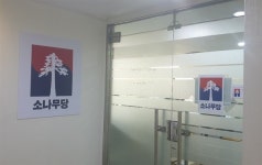 불의와 싸우는 당당한 소나무