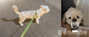 반려동물 바라보는 여러 시선, 바꿀 수 없는 가족... 유기 말아야