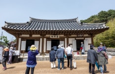 오죽헌 뒷마당에선 나무도 글을 읽나... 조선시대 두 여성의 발자취