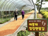 [홍성] 맨발로 걷는 황톳길 조성, 직접 걸어보니
