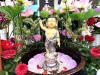 [사진] 불기 2568년 부처님오신 날, 홍성 세심사 봉축법요식