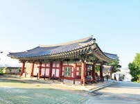 수령 300년, 완도 가리포진 역사를 간직한 산증인들