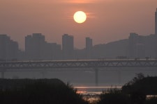 새벽 금강 탐사에서 만난 엄마 까투리의 지극한 모성