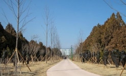 울산 북구 산업단지에 3년째 기후대응 도시숲 조성