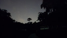 여기로 오세요... 반딧불이 별천지가 펼쳐집니다