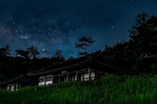 여기로 오세요... 반딧불이 별천지가 펼쳐집니다